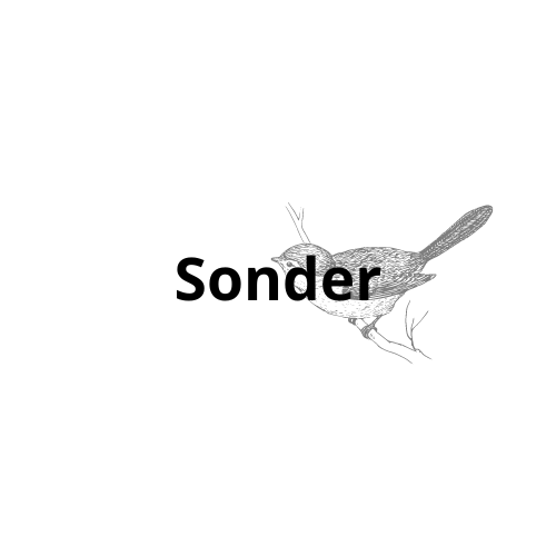 sonder